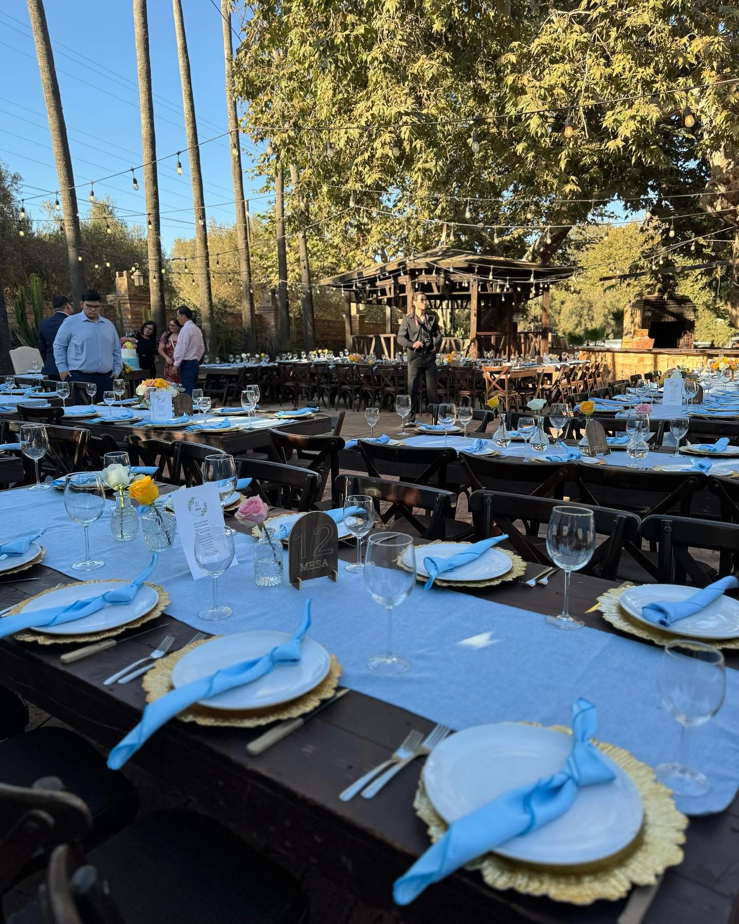 Montaje de mesa con vajilla y flores en el jardín